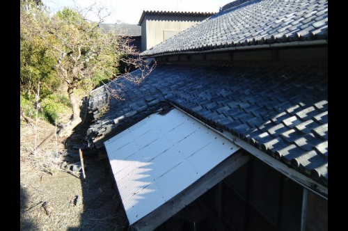 家の外のことも、お手入れをしておきましょ…